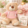 Teddybär Kuscheltier Stofftier Gute Besserung 33 cm mit rosa Kapuzenpullover