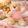 Teddybär Kuscheltier Stofftier Gute Besserung 33 cm mit rosa Kapuzenpullover
