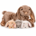 Kuschelhase Mama mit 3 Baby-Häschen 50 cm – Plüschtier Spielset XL Kuscheltier Familie