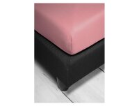 Irisette Fein-Biber Spannbetttuch Merkur 0006 fraise 100 x 200 cm + 100x200 cm