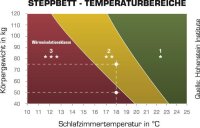 Häussling Daunen und Feder Kissen Königstraum 40 x 80 cm Kopfkissen mit Biese